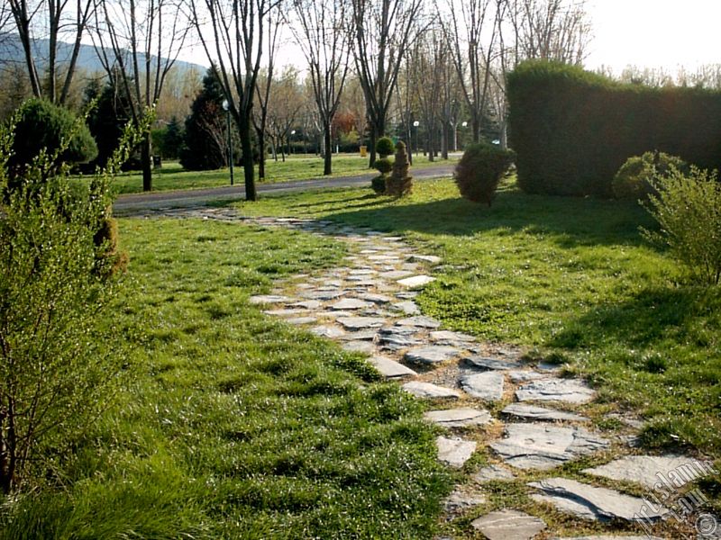 View of Botanical Park in Bursa city of Turkey.
