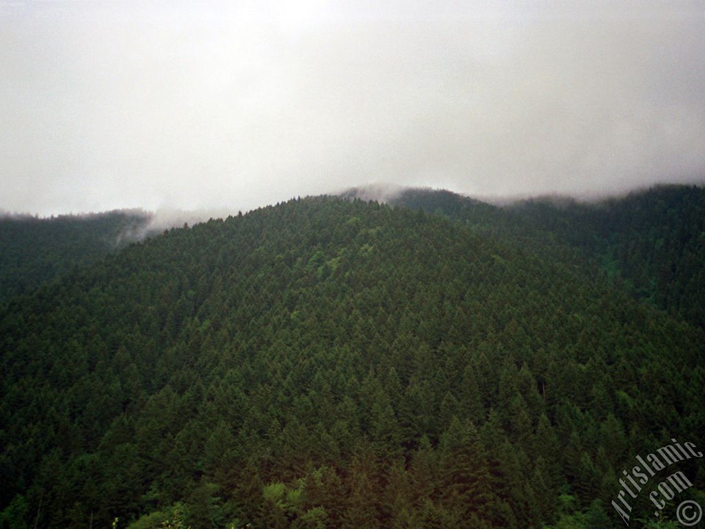 View of Uzungol high plateau located in Trabzon city of Turkey.
